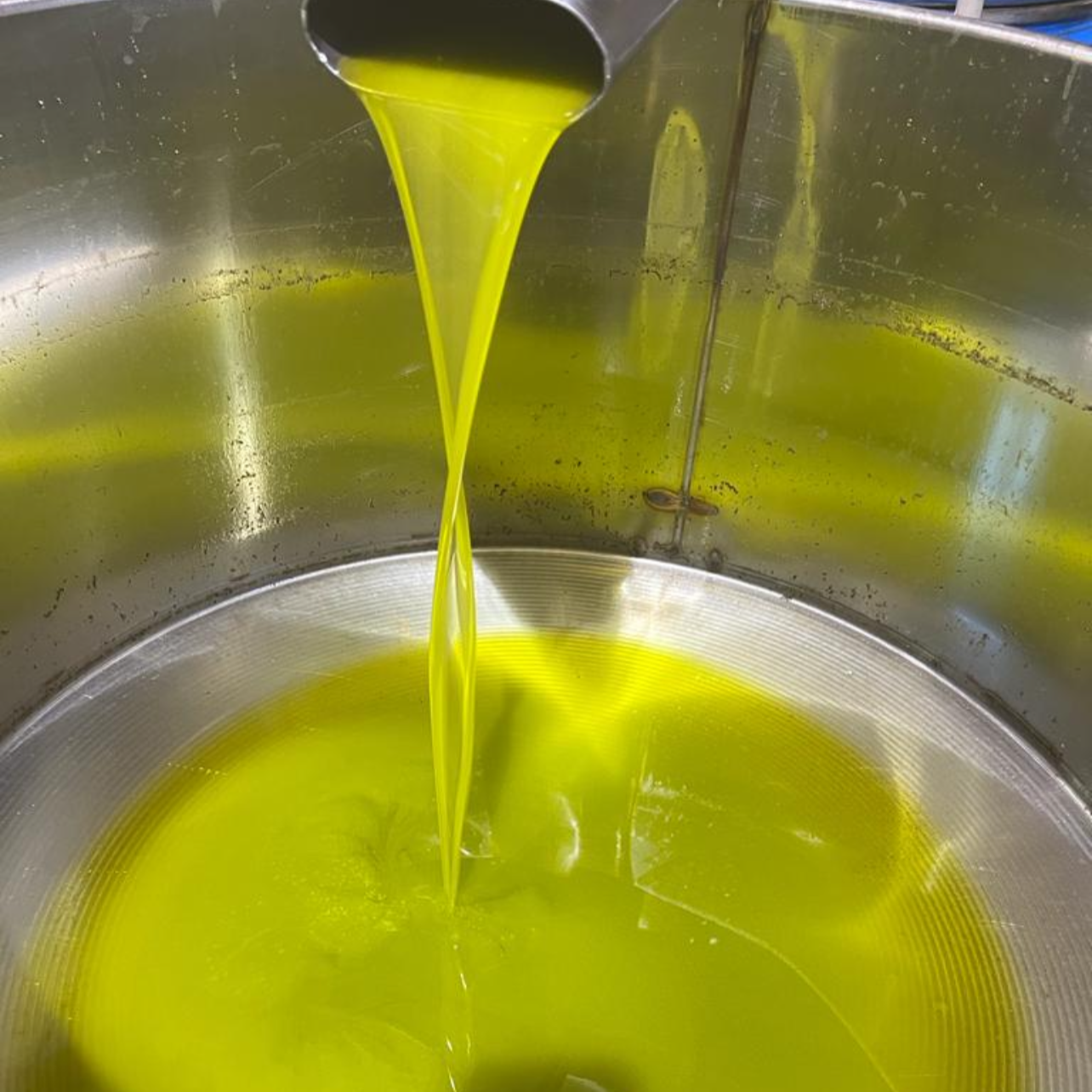 OLIO EXTRA VERGINE DI OLIVA - Coltivato in Basilicata, Italia.