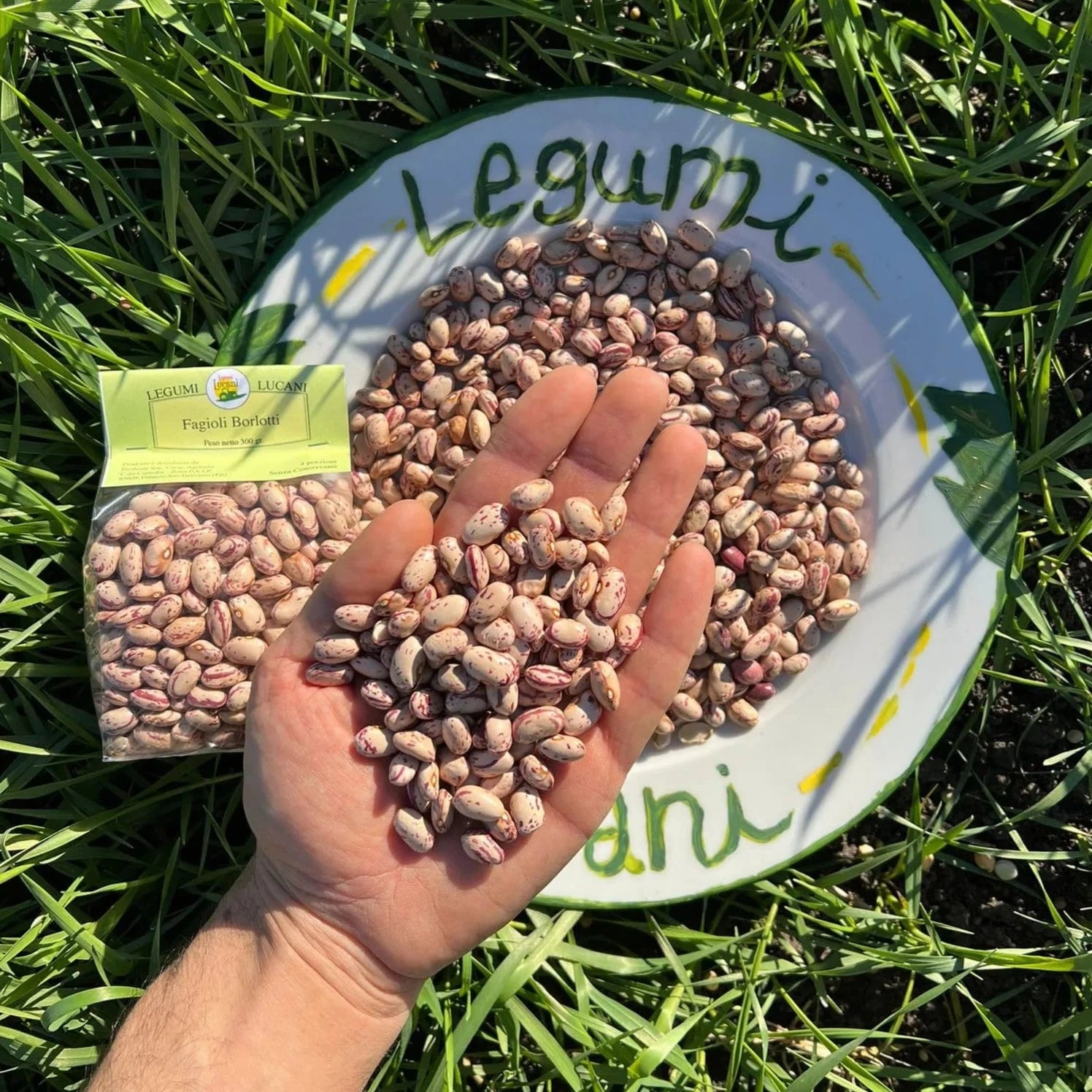 FAGIOLI BORLOTTI - Coltivati in Basilicata, Italia.