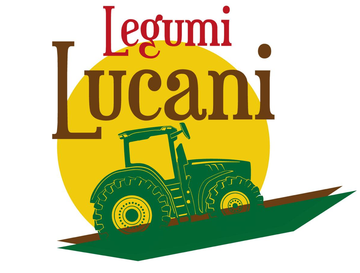 BOX n° 7: 6 Legumi + 5 Litri di OLIO EVO