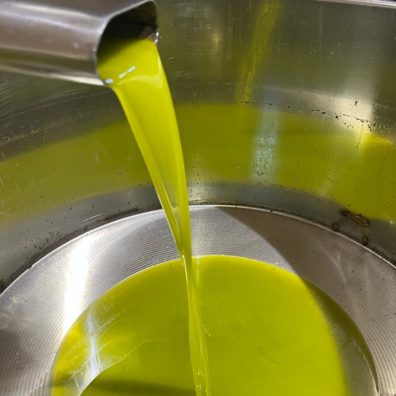 OLIO EXTRA VERGINE DI OLIVA - Coltivato in Basilicata, Italia.